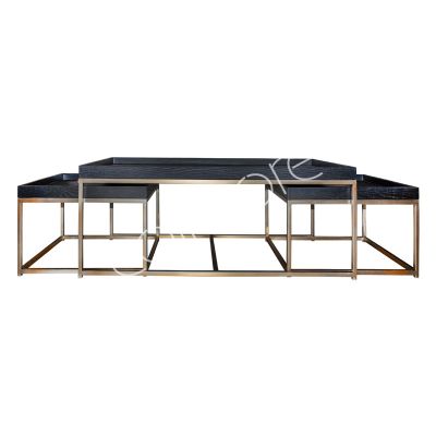Nesting coffee table SET/3 ss with wooden top 140x70x43