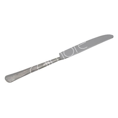 Table knife nickel ss 24x2x1