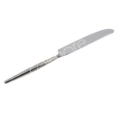 Table knife nickel ss 24x2x1