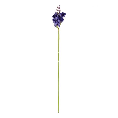 Flower narcissus purple 58cm
