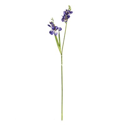 Flower narcissus purple 77cm