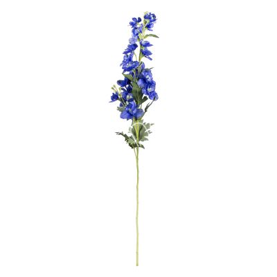 Flower delphinium dark blue 82cm