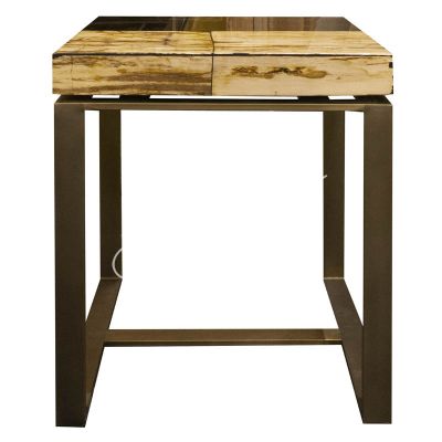 Side table petrified wood laminated ss/BRAss 45x45x56