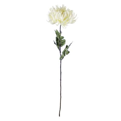 Flower crysanthemum white 60cm