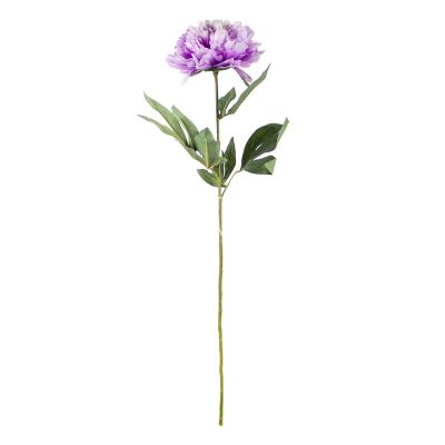Flower peony lilac 80cm