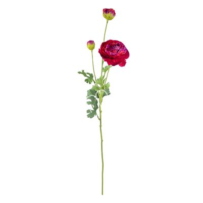 Flower ranunculus red 90cm