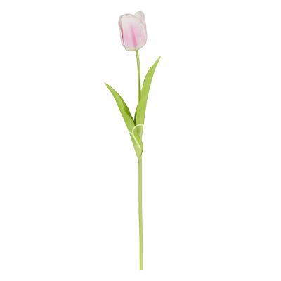 Flower tulip light pink 50cm