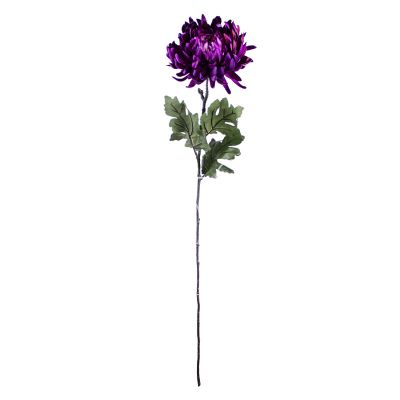 Flower crysanthemum purple 60cm
