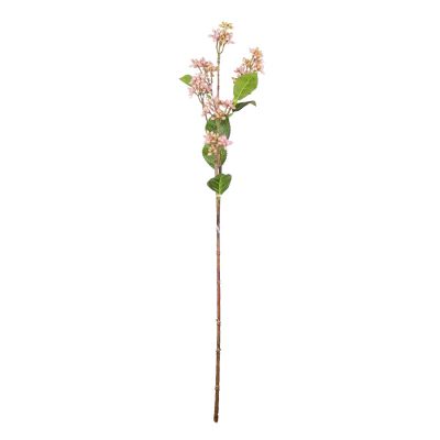 Flower herba eupatorium pink 62cm
