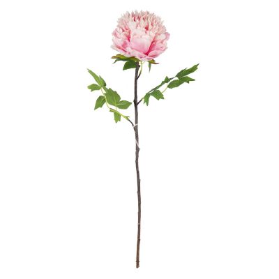 Flower peony pink 70cm