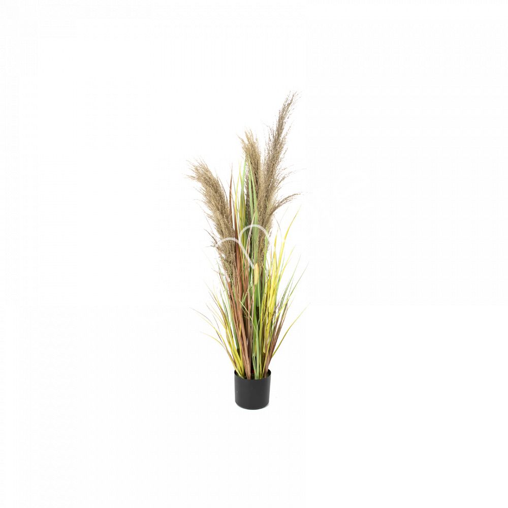 Decorative dried pampas grass natural w/plastic pot 120cm
