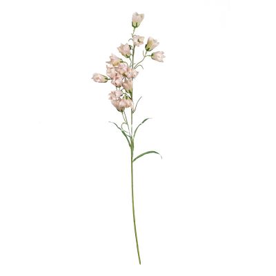 Flower campanula pink 77cm
