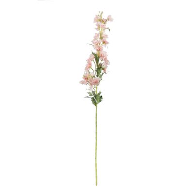 Flower delphinium light pink 82cm
