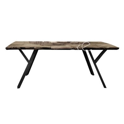 Dining table Flores petrified wood ss/BR 200x100x80