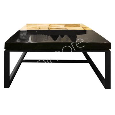 Coffee table petrified wood laminated ss/BRAss 80x80x41