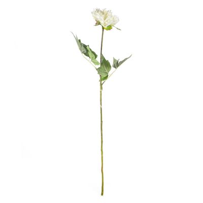 Flower peony white 79cm