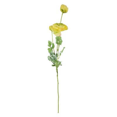 Flower ranunculus yellow 90cm