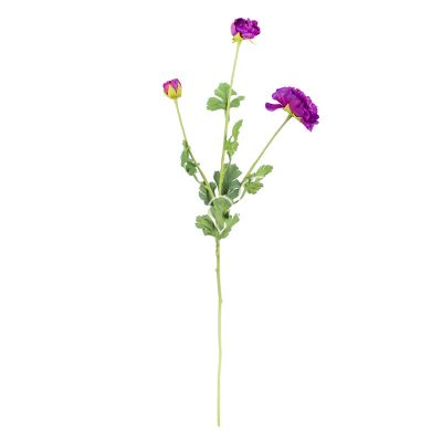Flower ranunculus deep purple pink 90cm
