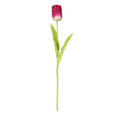 Flower tulip bright pink 50cm