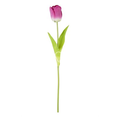 Flower tulip purple 50cm