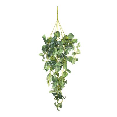 Hanging vine Zebrina leaves green 28x28x76