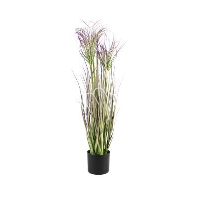 Decorative grass violet w/plastic pot 70cm