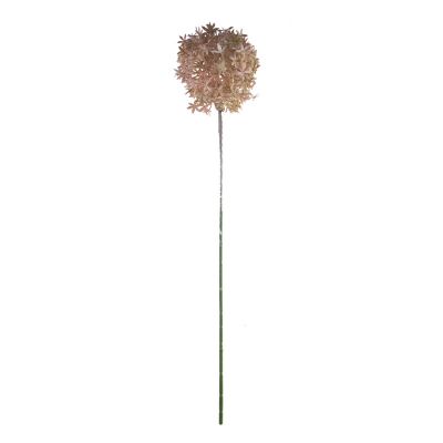 Flower allium pink 75cm